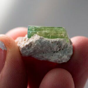 Natural Bi-Color Tourmaline Crystal